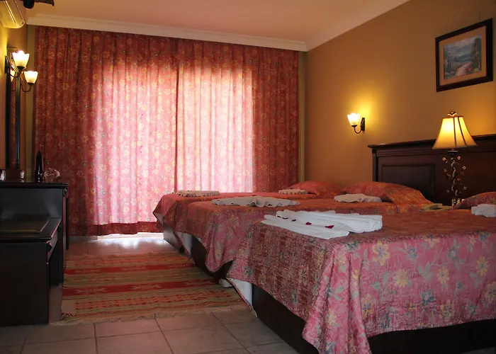 Club Dorado Hotell 3*